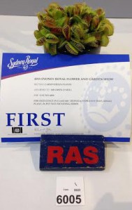 Easter show competition - Owen ONeil 2b