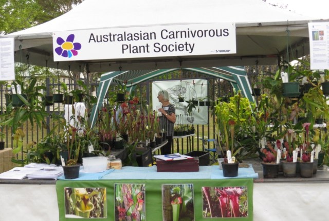 The AusCPS stall on Saturday morning